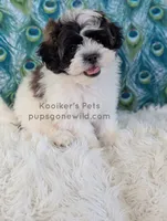 processed/4394682a-a9e7-4658-9b11-ffb07ffd857a/listing/5874eb96-51ce-40ff-8921-a8f4765c8d39/cdfdd0d7-6c3f-46bd-bb58-50e04d08c8aa