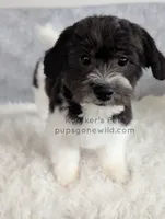 processed/4394682a-a9e7-4658-9b11-ffb07ffd857a/listing/5ff779a5-1356-4887-bc96-3300713f56e3/5ef58322-a7d0-461d-afd2-aab626b7495d