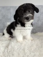 processed/4394682a-a9e7-4658-9b11-ffb07ffd857a/listing/5ff779a5-1356-4887-bc96-3300713f56e3/74ae6fe6-fde7-44ba-9552-5cb6ca4d901d