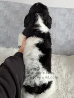 processed/4394682a-a9e7-4658-9b11-ffb07ffd857a/listing/5ff779a5-1356-4887-bc96-3300713f56e3/9c812140-a843-46d9-8313-c28ee76f426e