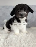 processed/4394682a-a9e7-4658-9b11-ffb07ffd857a/listing/5ff779a5-1356-4887-bc96-3300713f56e3/e45222e2-c01a-47eb-bedf-906b93eb0676