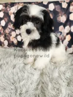 processed/4394682a-a9e7-4658-9b11-ffb07ffd857a/listing/6b110641-306d-45a6-aa25-a039561ed674/57729a28-2681-4735-b620-e72bf100b9d7