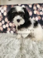 processed/4394682a-a9e7-4658-9b11-ffb07ffd857a/listing/6b110641-306d-45a6-aa25-a039561ed674/a8f381d5-f94e-45e0-8cc1-45b3f0ca622d