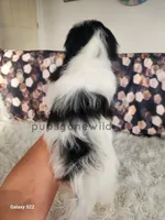 processed/4394682a-a9e7-4658-9b11-ffb07ffd857a/listing/6b110641-306d-45a6-aa25-a039561ed674/a9688a6f-03a1-4758-887e-be930b1a6658