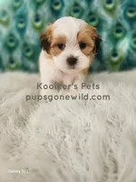 processed/4394682a-a9e7-4658-9b11-ffb07ffd857a/listing/6f7ed196-018f-4989-a8a7-2b2064b29f9c/5801cb79-7e09-491a-8e73-2d43c55b2a39