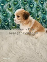 processed/4394682a-a9e7-4658-9b11-ffb07ffd857a/listing/6f7ed196-018f-4989-a8a7-2b2064b29f9c/d0f52494-7fae-42cf-94a5-0ad8ac2581d0