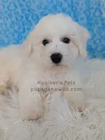 processed/4394682a-a9e7-4658-9b11-ffb07ffd857a/listing/7a602436-66bc-47d2-bc12-435def9256ad/34c2964d-c338-4b5e-8f84-b5c7125d3b6a