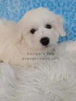 processed/4394682a-a9e7-4658-9b11-ffb07ffd857a/listing/7a602436-66bc-47d2-bc12-435def9256ad/d8cde785-0f17-4fd7-b425-198f2ac894a1