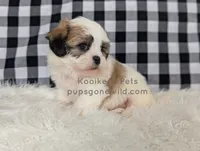 processed/4394682a-a9e7-4658-9b11-ffb07ffd857a/listing/97a5da3a-ac45-4dd2-8223-358be6984fa1/40d078a2-1f3a-48f9-84f9-2f1670a85c91