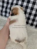 processed/4394682a-a9e7-4658-9b11-ffb07ffd857a/listing/97a5da3a-ac45-4dd2-8223-358be6984fa1/6e4dfc51-f44d-48bb-97e3-a31d5635ead2