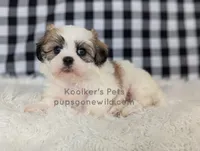 processed/4394682a-a9e7-4658-9b11-ffb07ffd857a/listing/97a5da3a-ac45-4dd2-8223-358be6984fa1/7e4007e9-3ccf-44a7-b002-b13f82e63bff