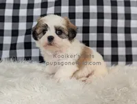 processed/4394682a-a9e7-4658-9b11-ffb07ffd857a/listing/97a5da3a-ac45-4dd2-8223-358be6984fa1/91daaa10-3590-4646-ad78-ce0e94c35ec2