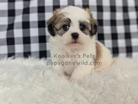 processed/4394682a-a9e7-4658-9b11-ffb07ffd857a/listing/97a5da3a-ac45-4dd2-8223-358be6984fa1/fc6abe48-9df8-4707-92a8-be9f918c2ef9