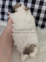 processed/4394682a-a9e7-4658-9b11-ffb07ffd857a/listing/9af45b91-e417-4856-9bfb-1ce936098953/02b4bdb8-2989-40c8-ae53-b0890c60a453