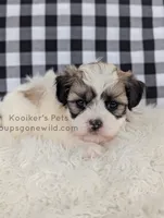 processed/4394682a-a9e7-4658-9b11-ffb07ffd857a/listing/9af45b91-e417-4856-9bfb-1ce936098953/29c7efcd-4cb1-4f4e-accc-98273642634f