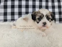 processed/4394682a-a9e7-4658-9b11-ffb07ffd857a/listing/9af45b91-e417-4856-9bfb-1ce936098953/4b1fcb09-d5b5-454c-a157-a1f26004047f