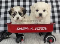 processed/4394682a-a9e7-4658-9b11-ffb07ffd857a/listing/9af45b91-e417-4856-9bfb-1ce936098953/fa8b340b-14f0-48b3-9d53-3ebbe7bea8ab