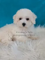 processed/4394682a-a9e7-4658-9b11-ffb07ffd857a/listing/a3d1dd60-c7dd-4184-ae46-c4ea3f377dc2/cb252345-9457-4496-8404-c2202e1ed43a