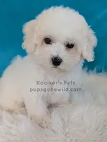 processed/4394682a-a9e7-4658-9b11-ffb07ffd857a/listing/a3d1dd60-c7dd-4184-ae46-c4ea3f377dc2/e2d68657-21bf-4ef6-9d6e-64d0522ce394