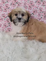 processed/4394682a-a9e7-4658-9b11-ffb07ffd857a/listing/ae50dcbf-7a0c-46c0-ac08-328b053d70d4/4c58a0cc-34ba-4001-9243-9707858434f3