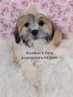 processed/4394682a-a9e7-4658-9b11-ffb07ffd857a/listing/ae50dcbf-7a0c-46c0-ac08-328b053d70d4/733f065c-6f50-4e03-b9a1-6d1aedc313c3