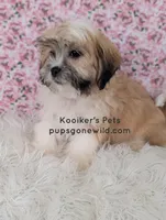 processed/4394682a-a9e7-4658-9b11-ffb07ffd857a/listing/ae50dcbf-7a0c-46c0-ac08-328b053d70d4/7c5588c5-9d6b-48d3-960e-c96ad7feedf4