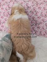 processed/4394682a-a9e7-4658-9b11-ffb07ffd857a/listing/ae50dcbf-7a0c-46c0-ac08-328b053d70d4/c9e4c96f-7bd2-4078-8451-ed692cd162c1