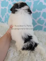 processed/4394682a-a9e7-4658-9b11-ffb07ffd857a/listing/b6da37e1-d630-4da6-b8d2-e15417297b2f/369dbf32-3386-4a7c-a490-8ffa4f665092