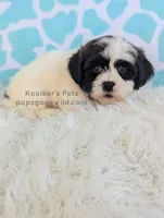 processed/4394682a-a9e7-4658-9b11-ffb07ffd857a/listing/b6da37e1-d630-4da6-b8d2-e15417297b2f/6628fd60-f9da-4dc0-ab3c-f2200d9a848e