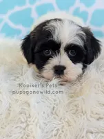 processed/4394682a-a9e7-4658-9b11-ffb07ffd857a/listing/b6da37e1-d630-4da6-b8d2-e15417297b2f/785a1395-2884-4978-a941-300d230df857