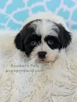 processed/4394682a-a9e7-4658-9b11-ffb07ffd857a/listing/b6da37e1-d630-4da6-b8d2-e15417297b2f/d238579a-8f00-45d0-8cfd-200c55886fa8