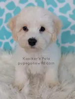 processed/4394682a-a9e7-4658-9b11-ffb07ffd857a/listing/bfbcfe17-7e54-4cb6-892d-4bc4a099cdd5/c2c71fa7-8020-47f5-b949-fc14c1afb696