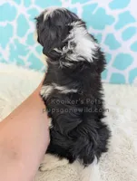 processed/4394682a-a9e7-4658-9b11-ffb07ffd857a/listing/ccf0a3a3-587f-4b0d-a521-e1e101ea86b6/4cda48e4-b7b7-4871-b13b-402cb67d2b7b