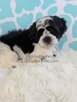 processed/4394682a-a9e7-4658-9b11-ffb07ffd857a/listing/ccf0a3a3-587f-4b0d-a521-e1e101ea86b6/92889cc0-2fa2-4288-b65f-2265def4f3fb