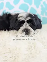 processed/4394682a-a9e7-4658-9b11-ffb07ffd857a/listing/ccf0a3a3-587f-4b0d-a521-e1e101ea86b6/d7fe80d1-0939-4c9c-ba53-8712752535ba