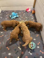 processed/4394977b-91fb-4951-aea6-3cfa2f3b2e9d/facility/8643aa27-0677-4bc4-ba1c-64f96962bdf8