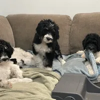 Facility photo