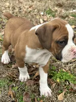 processed/43991b6a-68cc-4f4c-927f-6233400f68c4/listing/a3cd442c-8e25-46a4-ad57-58183e57024f/c7489418-f372-4c6a-bd37-69351933bcaf