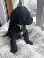 processed/439a1a0e-3e86-4d84-bce3-c53d40f1bc20/listing/12d25942-b9e3-4022-a3a6-83e709846b1f/25613da3-0234-41bd-bcb0-b1ee48c499c7