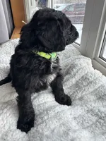 processed/439a1a0e-3e86-4d84-bce3-c53d40f1bc20/listing/12d25942-b9e3-4022-a3a6-83e709846b1f/52c568d8-0b18-4233-b8b1-5530b4d0c7a4