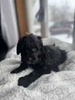 processed/439a1a0e-3e86-4d84-bce3-c53d40f1bc20/listing/12d25942-b9e3-4022-a3a6-83e709846b1f/b96d886b-7d8d-42a9-bc3e-00772e67a411