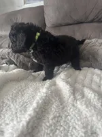 processed/439a1a0e-3e86-4d84-bce3-c53d40f1bc20/listing/12d25942-b9e3-4022-a3a6-83e709846b1f/e03048b3-c41e-471e-8fa6-5e016c8f0835