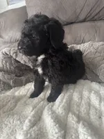 processed/439a1a0e-3e86-4d84-bce3-c53d40f1bc20/listing/12d25942-b9e3-4022-a3a6-83e709846b1f/e960dc1b-6c90-4db1-a242-6117a6148926