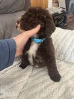 processed/439a1a0e-3e86-4d84-bce3-c53d40f1bc20/listing/4e2e1e78-e204-45e8-9fbb-df303b6ab9b4/0a616718-eb97-4a3e-8ec3-383e05490317