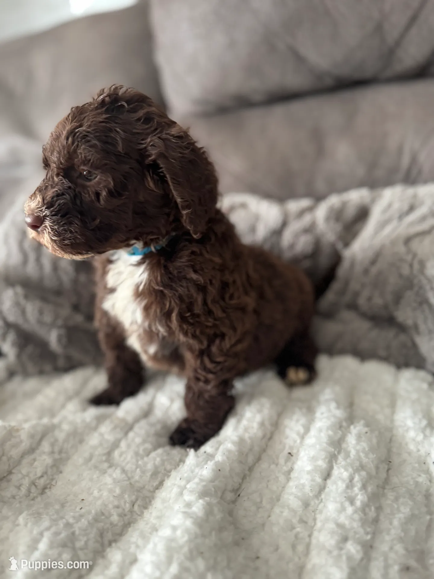 processed/439a1a0e-3e86-4d84-bce3-c53d40f1bc20/listing/4e2e1e78-e204-45e8-9fbb-df303b6ab9b4/14db9b28-9beb-48b5-be40-0db3470819ad