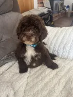 processed/439a1a0e-3e86-4d84-bce3-c53d40f1bc20/listing/4e2e1e78-e204-45e8-9fbb-df303b6ab9b4/8b13fcb6-391e-4eef-8f6a-c5cba49b1c30