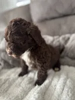 processed/439a1a0e-3e86-4d84-bce3-c53d40f1bc20/listing/4e2e1e78-e204-45e8-9fbb-df303b6ab9b4/b269186b-b093-4aa3-91b5-8d8e7f10d16b