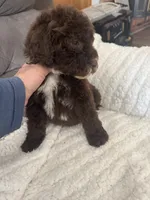 processed/439a1a0e-3e86-4d84-bce3-c53d40f1bc20/listing/4e2e1e78-e204-45e8-9fbb-df303b6ab9b4/dad7f435-5a96-4e50-ab7c-599e006e70a0