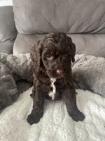 processed/439a1a0e-3e86-4d84-bce3-c53d40f1bc20/listing/bc7f7203-c952-41ff-bfc0-832c4db1ce12/54672329-e5a0-4ba4-9d19-8b697097b11f