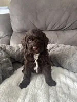 processed/439a1a0e-3e86-4d84-bce3-c53d40f1bc20/listing/bc7f7203-c952-41ff-bfc0-832c4db1ce12/6306a1f6-1a42-40b8-8306-ead0c81f80b3